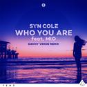 Who You Are (Danny Verde Remix)专辑