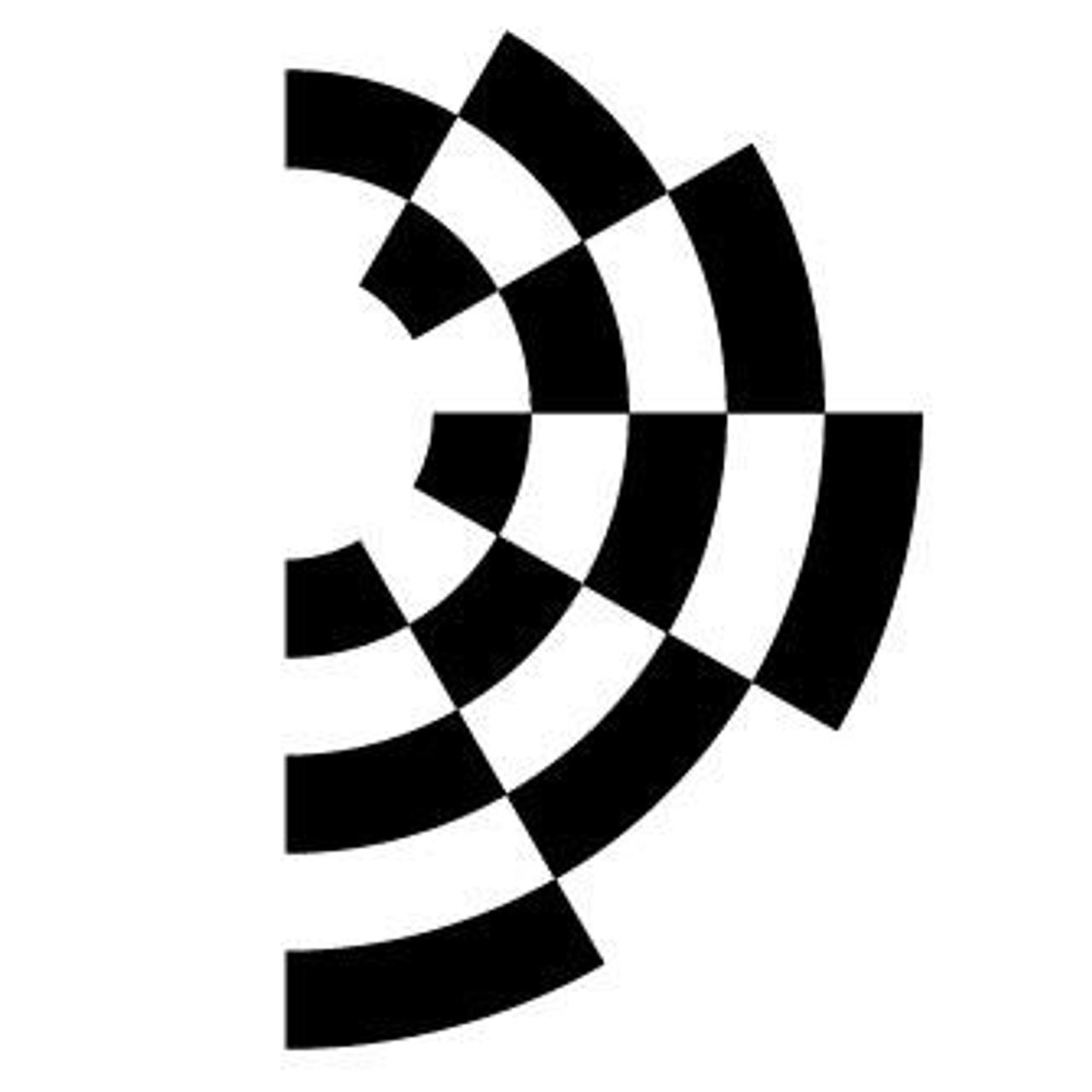 i Molinari camerata musici