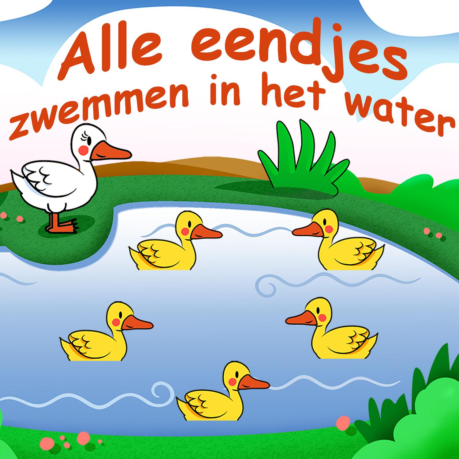 Alle Eendjes Zwemmen in Het Water