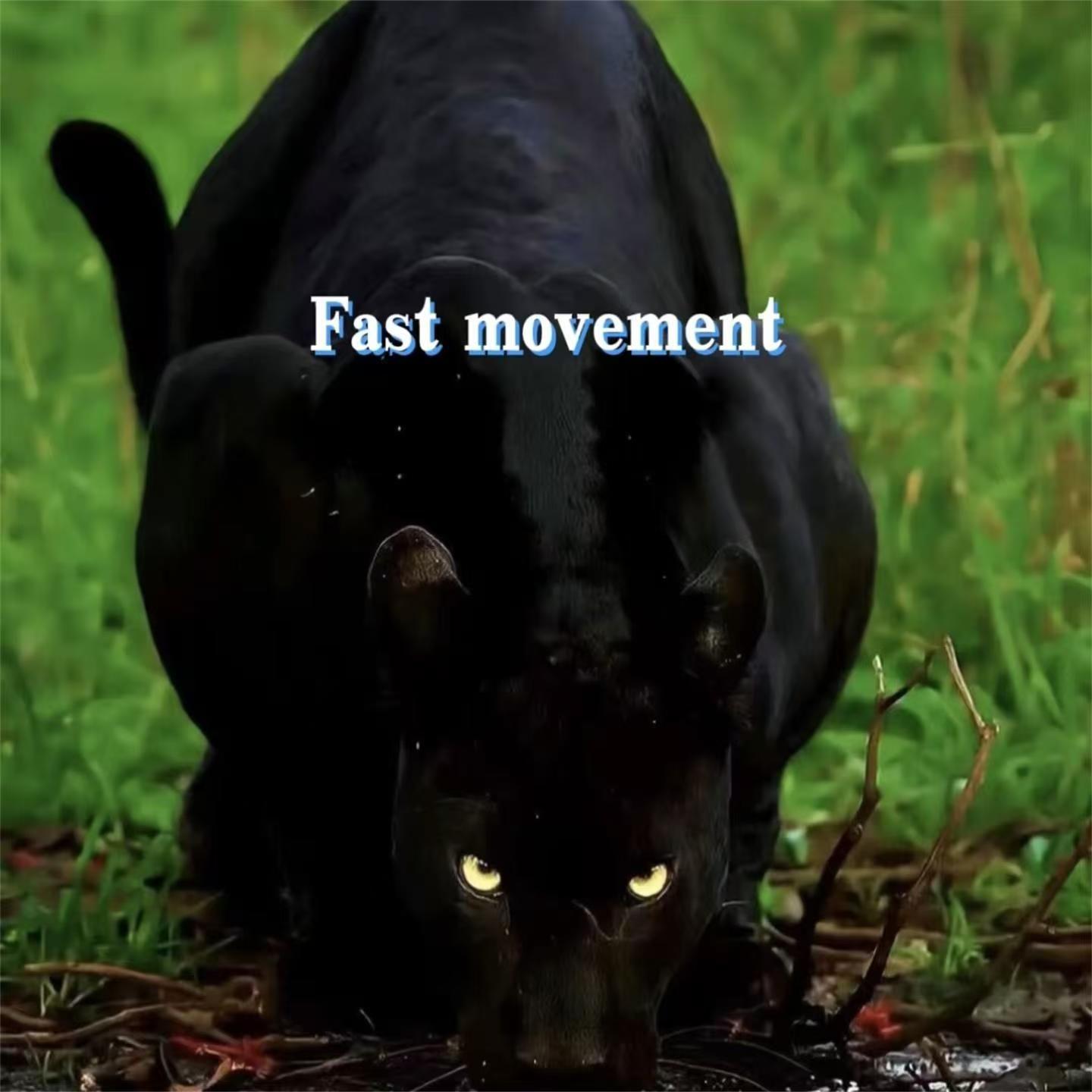 Fast movement