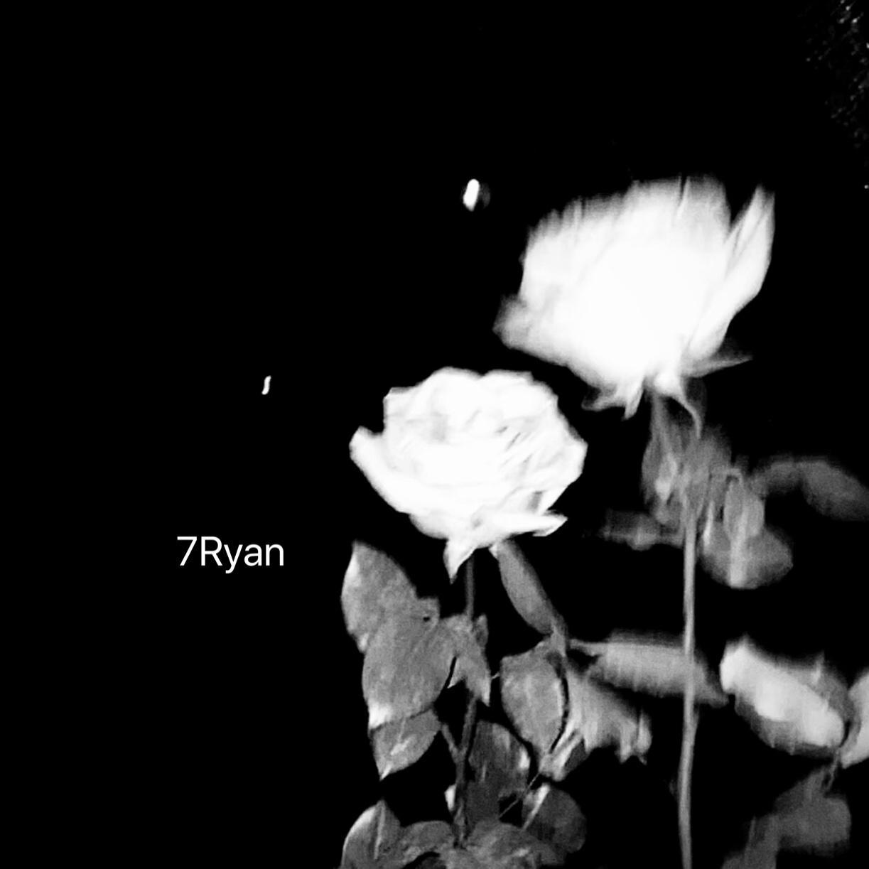 Alan walker-Faded（7Ryan remix）