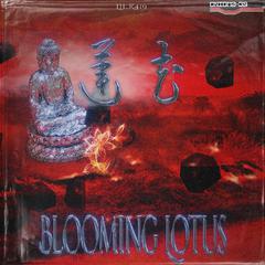 莲花BLOOMING LOTUS