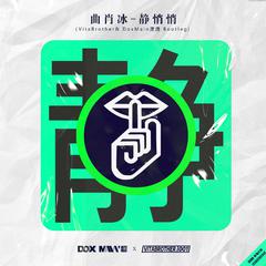 静悄悄（VitaBrother& DoxMain潇潇 Bootleg)