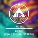 Harlot (Vijay & Sofia Zlatko Remix)专辑