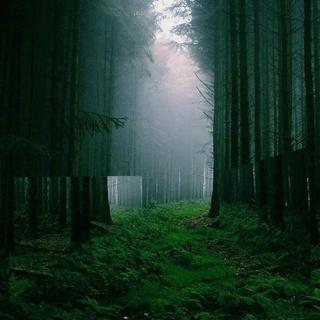 氛围佳酿：墨 水 · 木