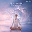 Liquid Mind X: Meditation专辑