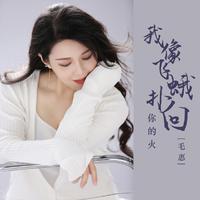 我像飞蛾扑向你的火(女版纯伴奏)