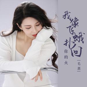 我像飞蛾扑向你的火【女版纯伴奏】 （升4半音）