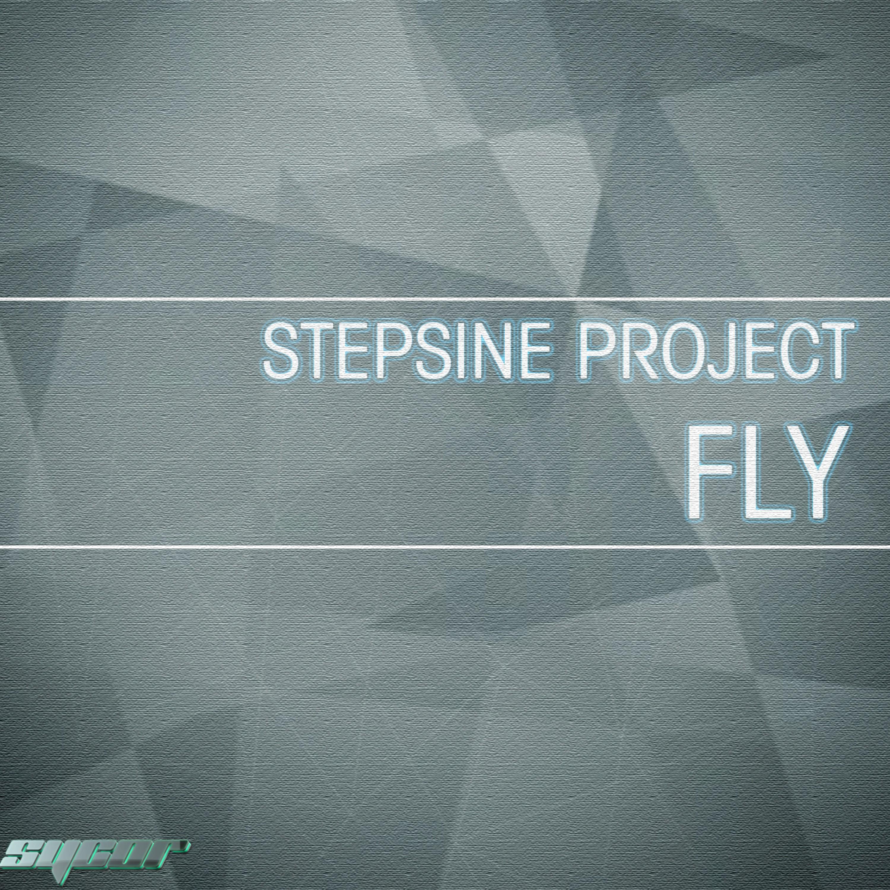 Fly