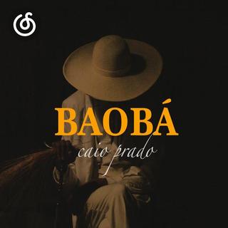 巴西全域音乐精选|从《Baobá》听起