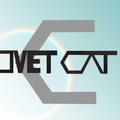 Civet Cat