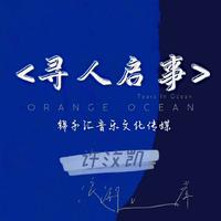 寻人启事 (原版立体声)
