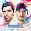 Voices (feat. TZAR)