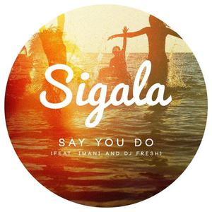 Say You Do - Sigala feat. Imani and DJ Fresh (karaoke) 带和声伴奏
