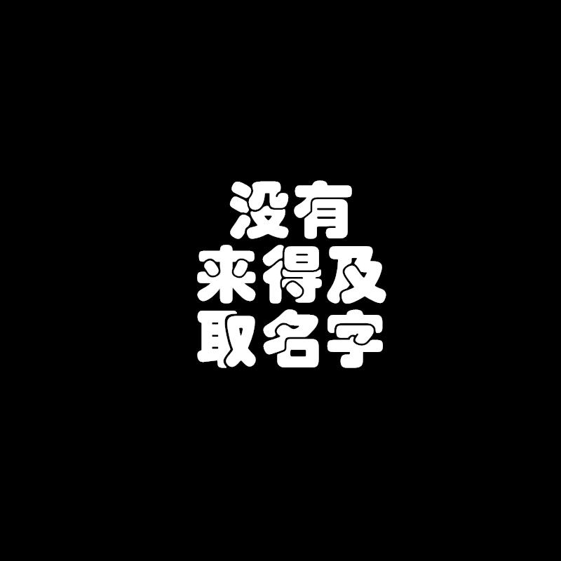 没有来得及取名字专辑