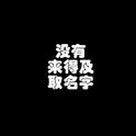 没有来得及取名字专辑