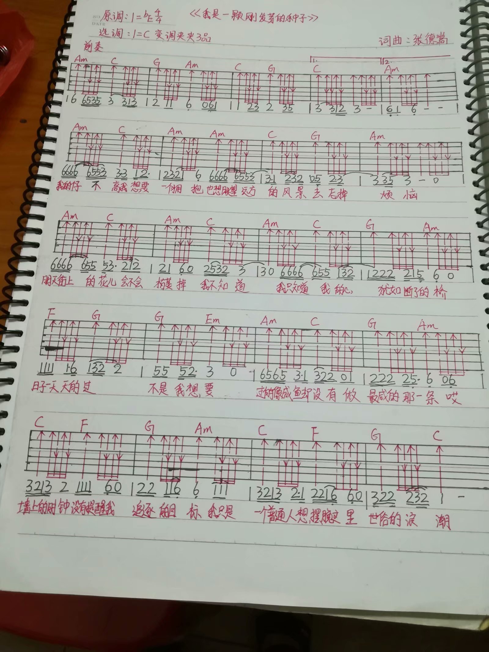 小三和弦简谱_往事只能回味简谱和弦(3)