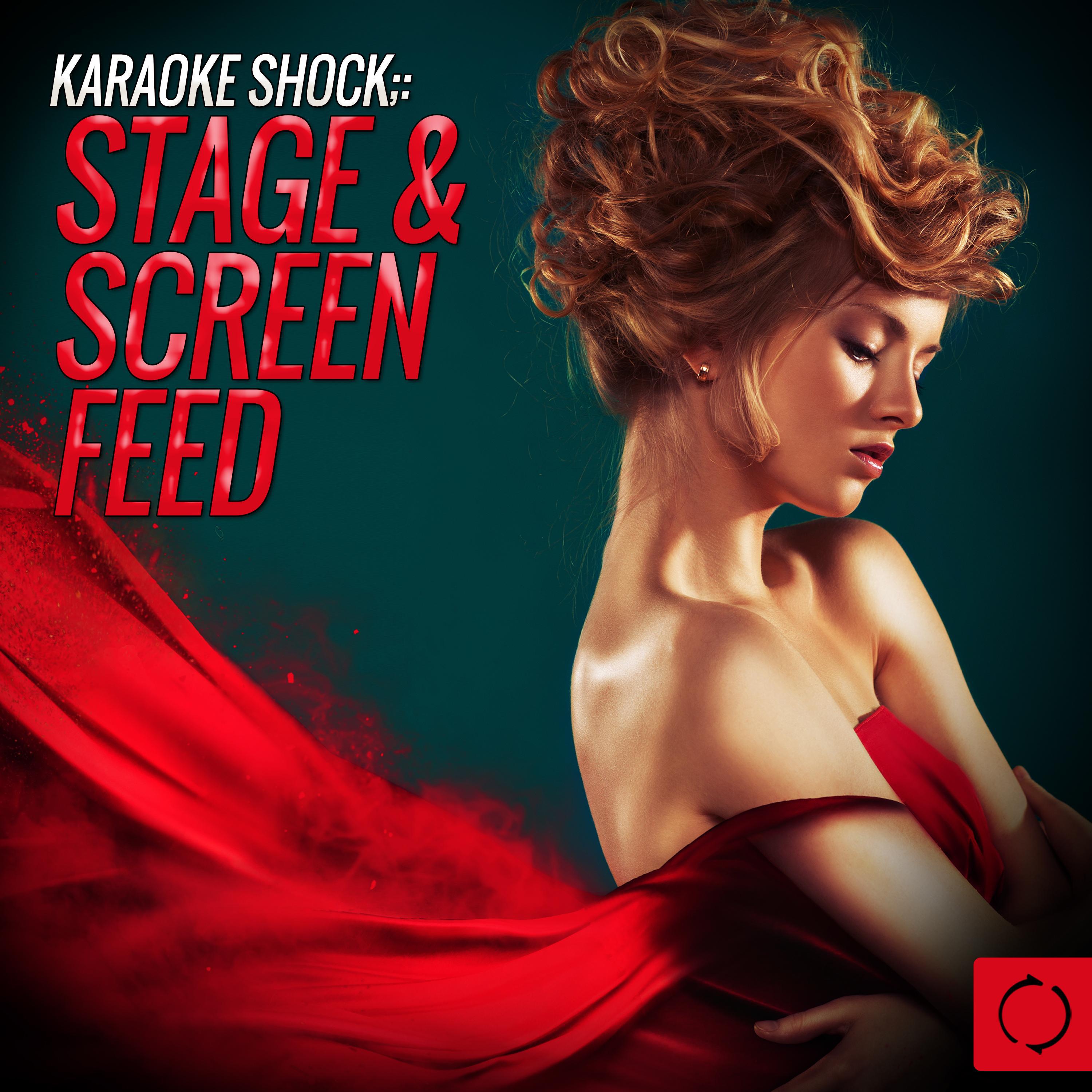 Karaoke Shock: Stage & Screen Feed专辑