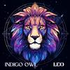 Indigo Owl - Leo