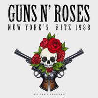 Guns N' Roses - New Rose (instrumental)