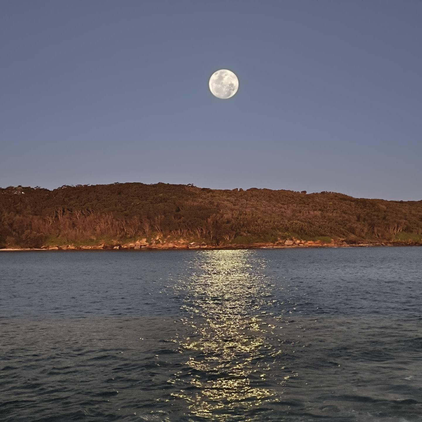 你是我年少求剑时刻的舟