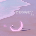 SECRET