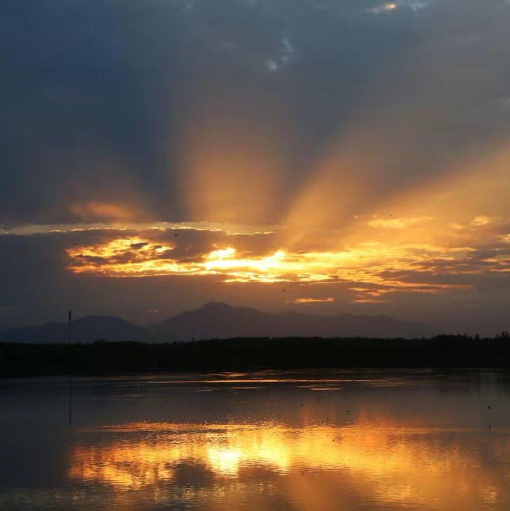 Always Online×0.8（remix）