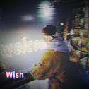 wish专辑