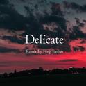 Delicate(Remix)专辑