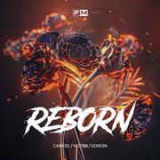 Reborn