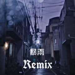 暴雨remix