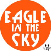 Eagle In The Sky