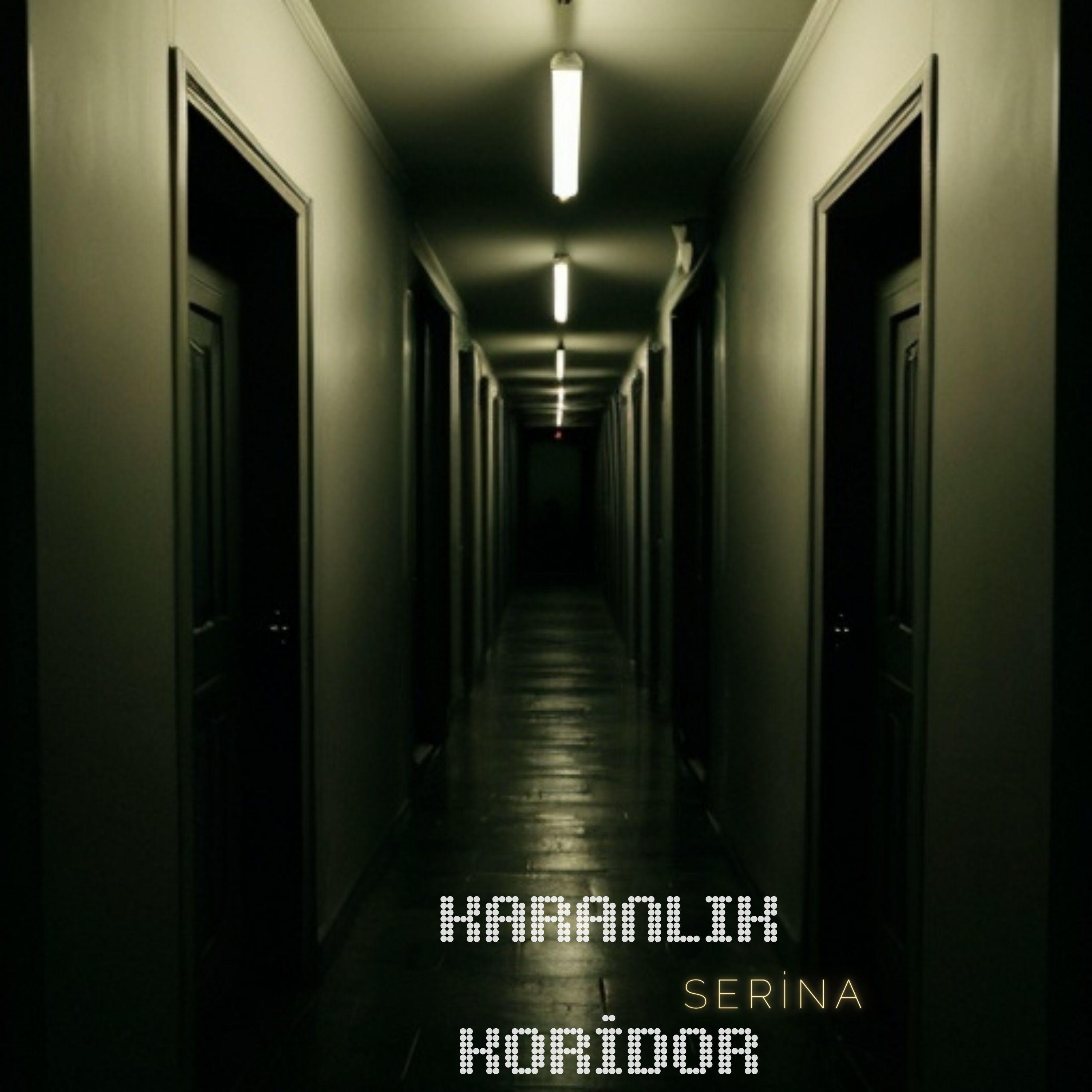 Pencereden Kar Geliyor