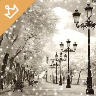 【唯美纯音】那些直击心灵的纯音乐