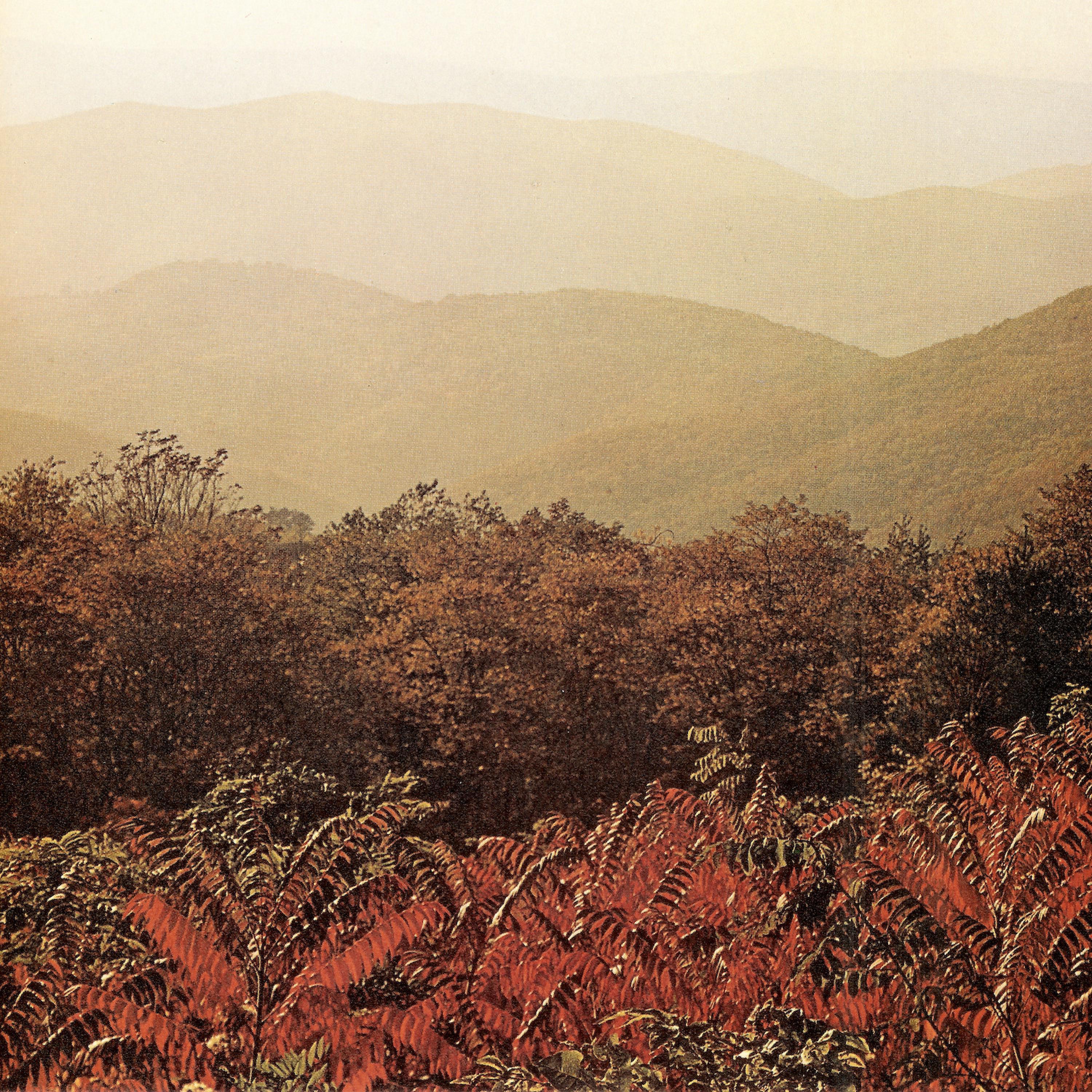 Court of Infinity (II) (15th Anniversary Edition)