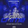 Mc Mary Maii - A Gata do Crime - Slowed & Reverb