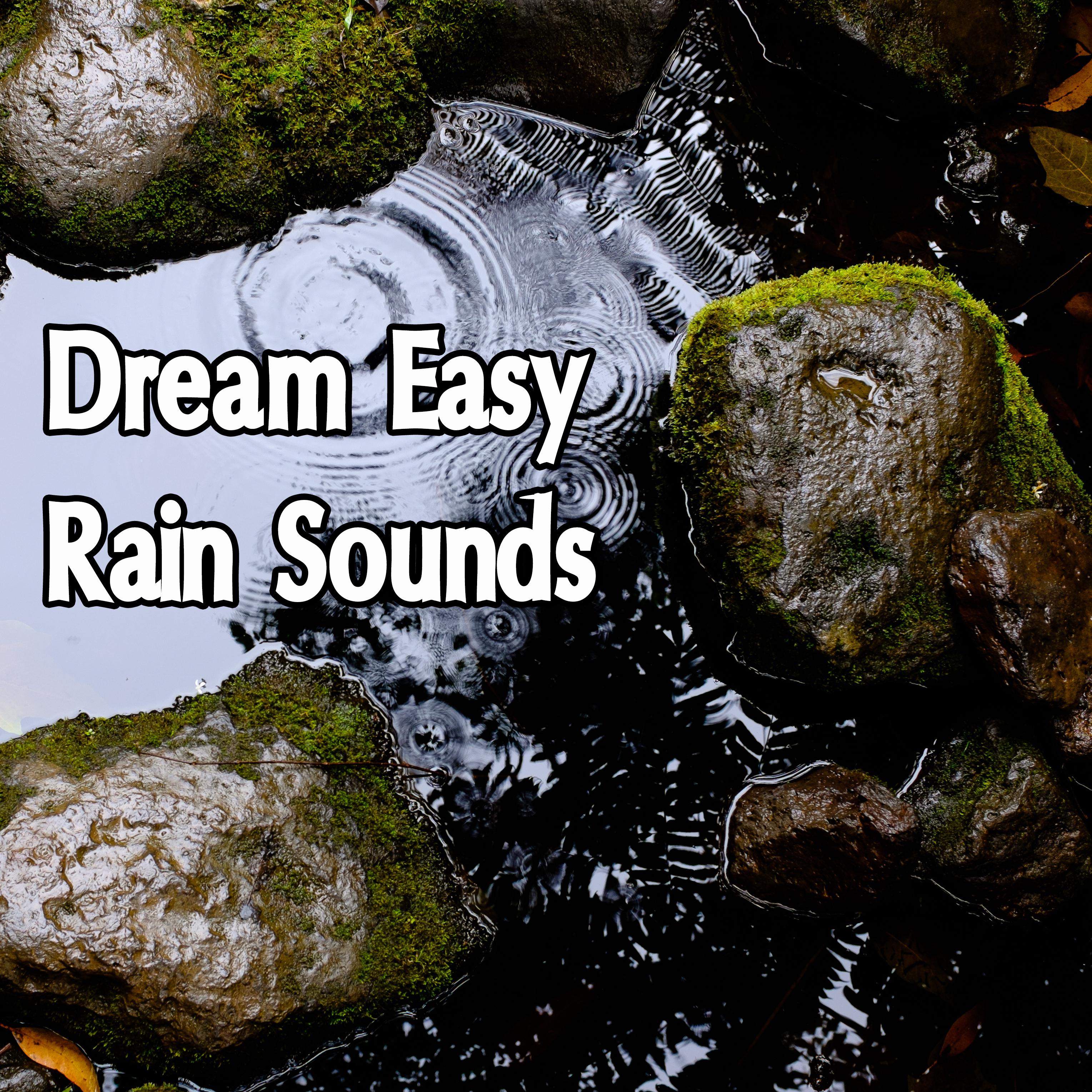 17 Dream Easy Rain Tracks专辑