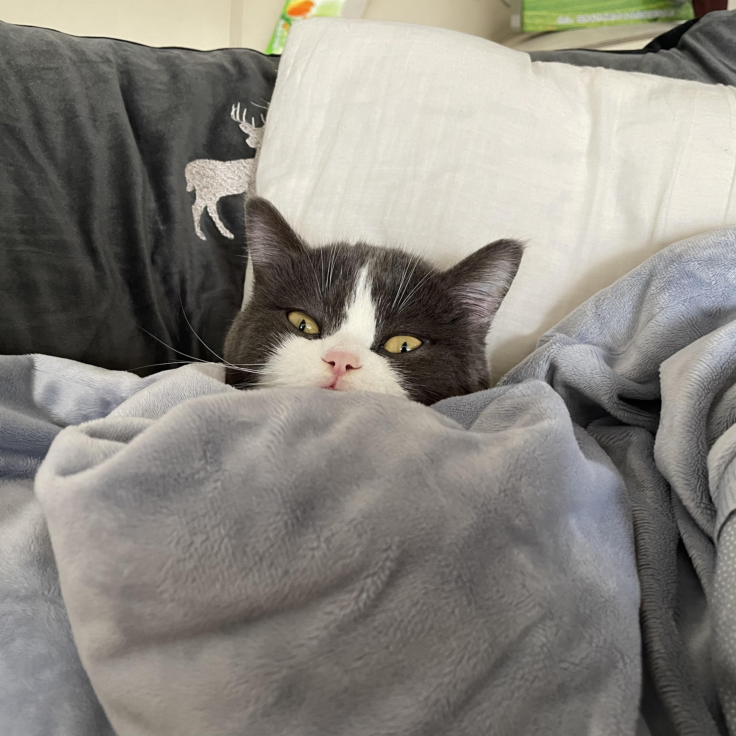 11点（Prod.DIVINE MUSIC）