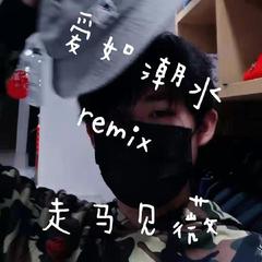 张信哲-爱如潮水remix（走马见薇 remix）