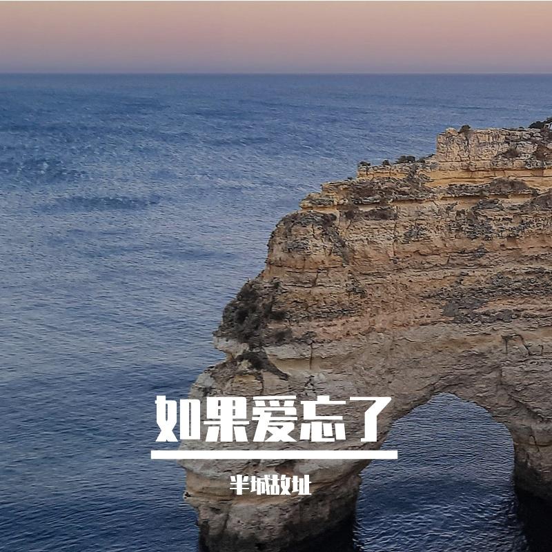 如果爱忘了
