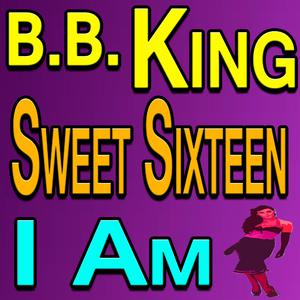 B.B. King - Sweet Sixteen (Karaoke Version) 带和声伴奏 （升8半音）