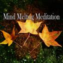 Mind Melting Meditation专辑