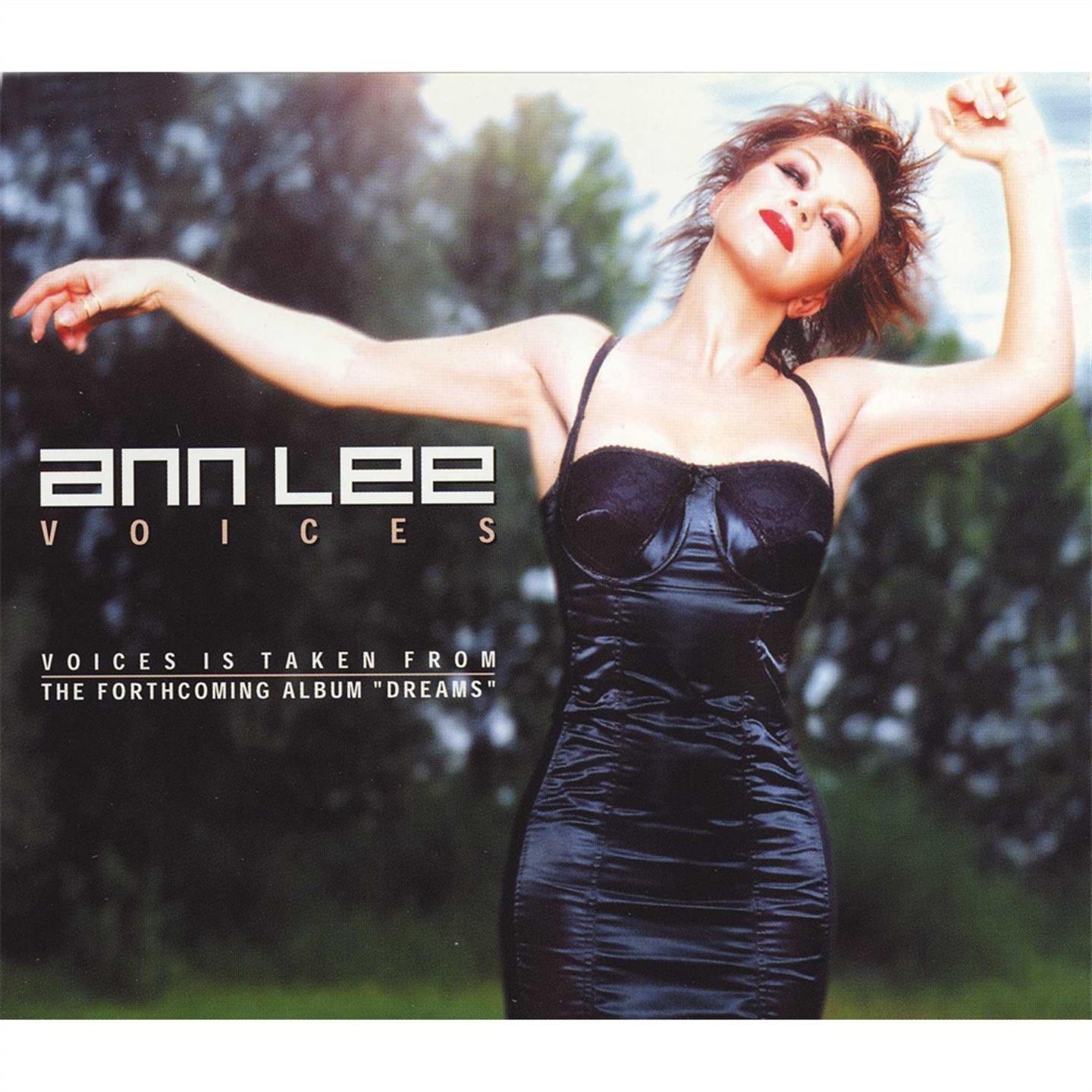 Voices (Single)