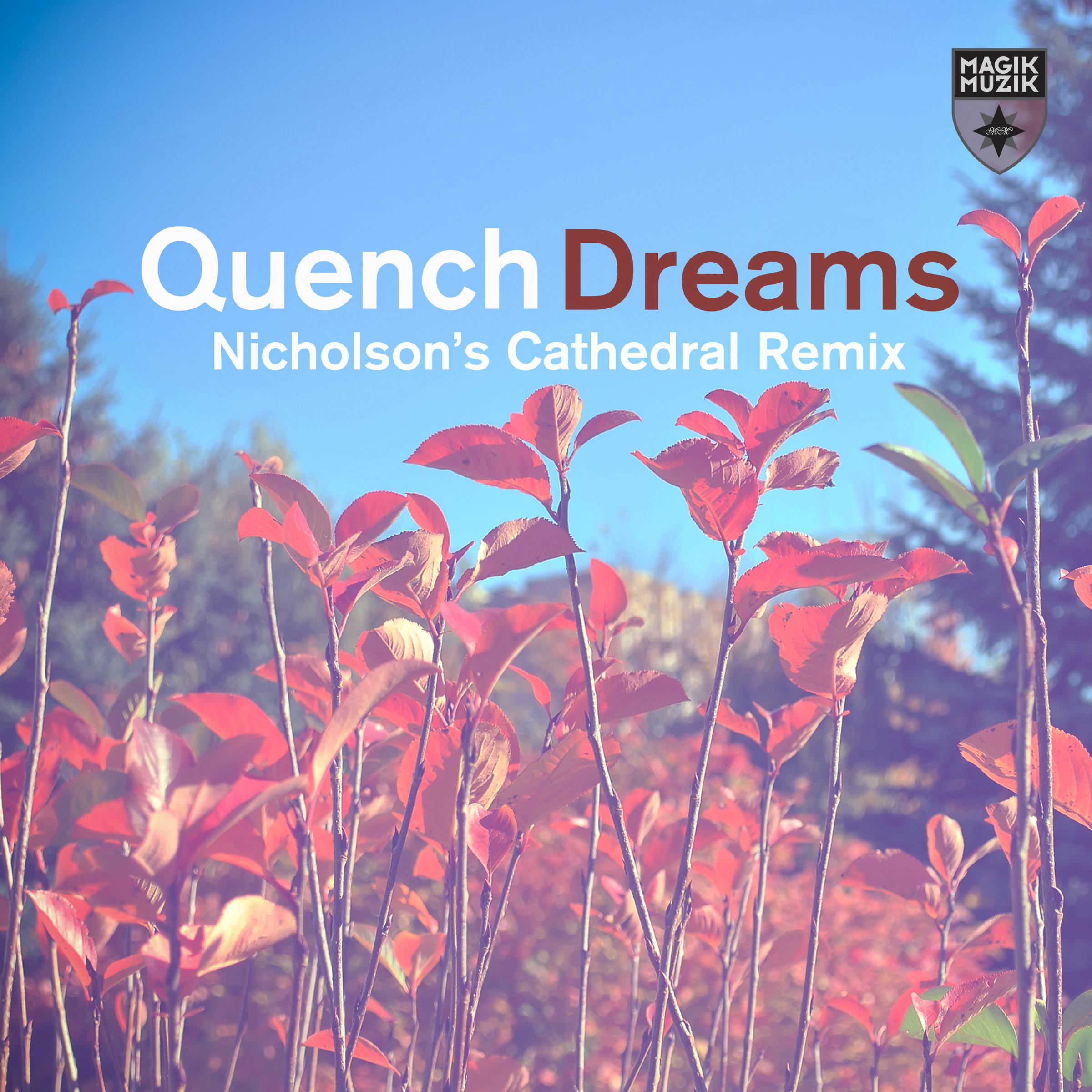 Dreams (Nicholson's Extended Cathedral Remix)专辑