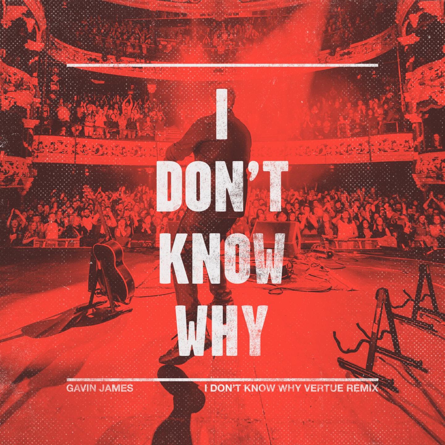 I Don't Know Why (Vertue Remix)专辑