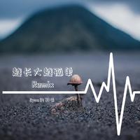 越长大越孤单Remix伴奏 高品质 （扒带制作）