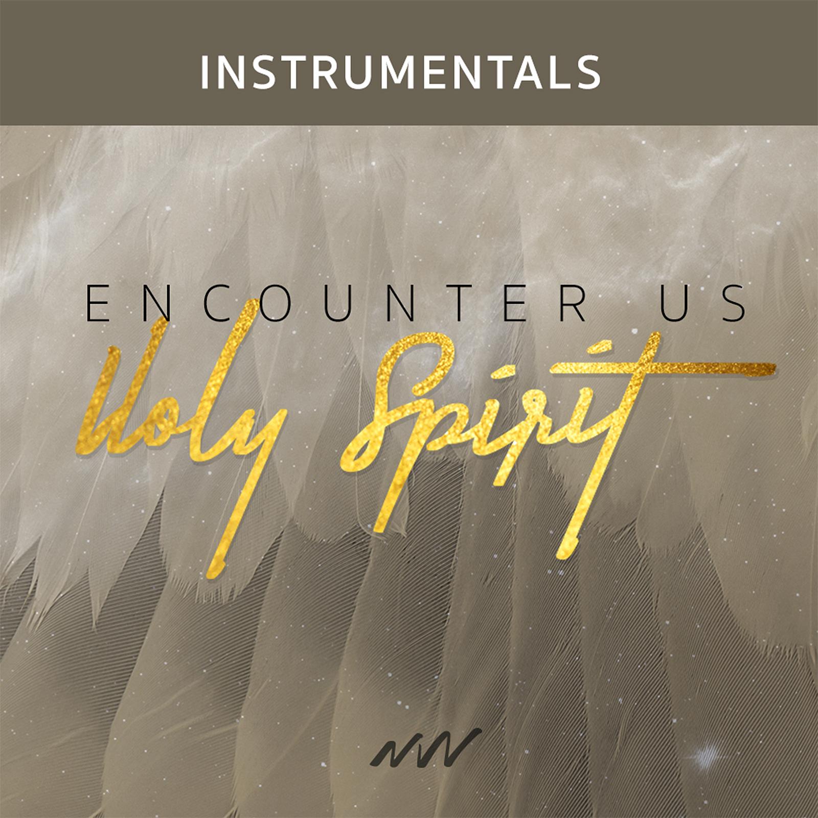 Encounter Us Holy Spirit (Instrumental)