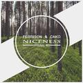 Niceness(Original Mix)