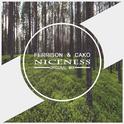 Niceness(Original Mix)专辑