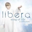 Song of Life – A Collection专辑